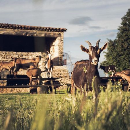 Le Domaine Du Castellas Sivergues Exterior foto